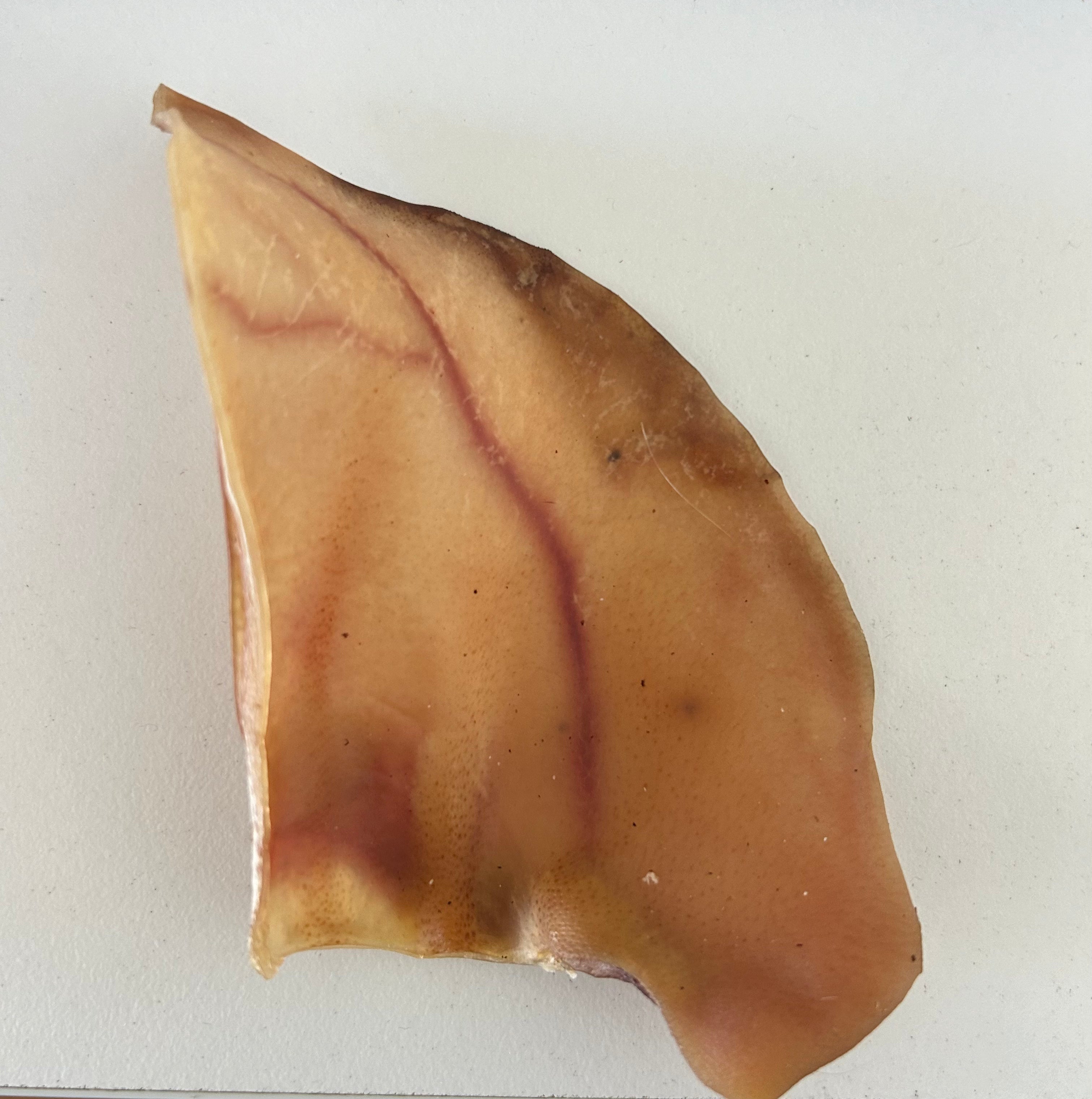 Pig Ears
