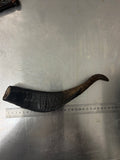 Large Dried Goat Horn